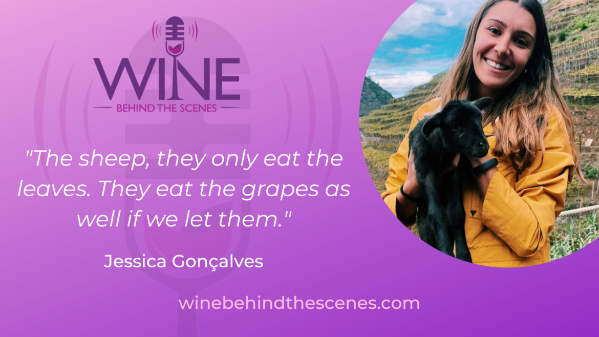 Wine, Ocean, and Mountains with Jessica Goncalves