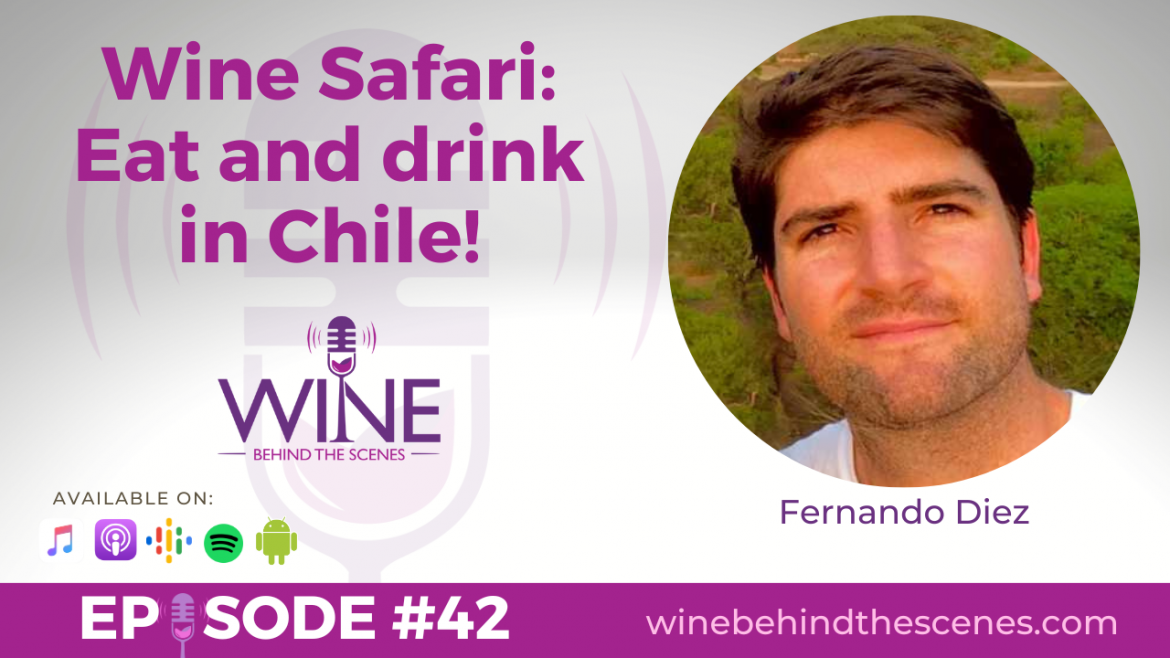Wine Safari: Eat and drink in Chile!