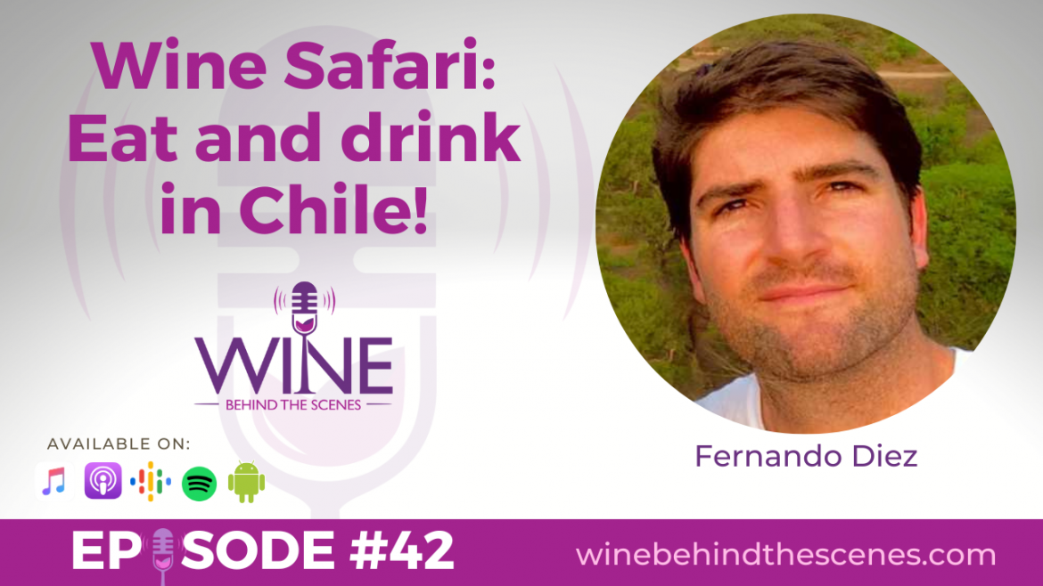 Wine Safari: Eat and Drink in Chile!